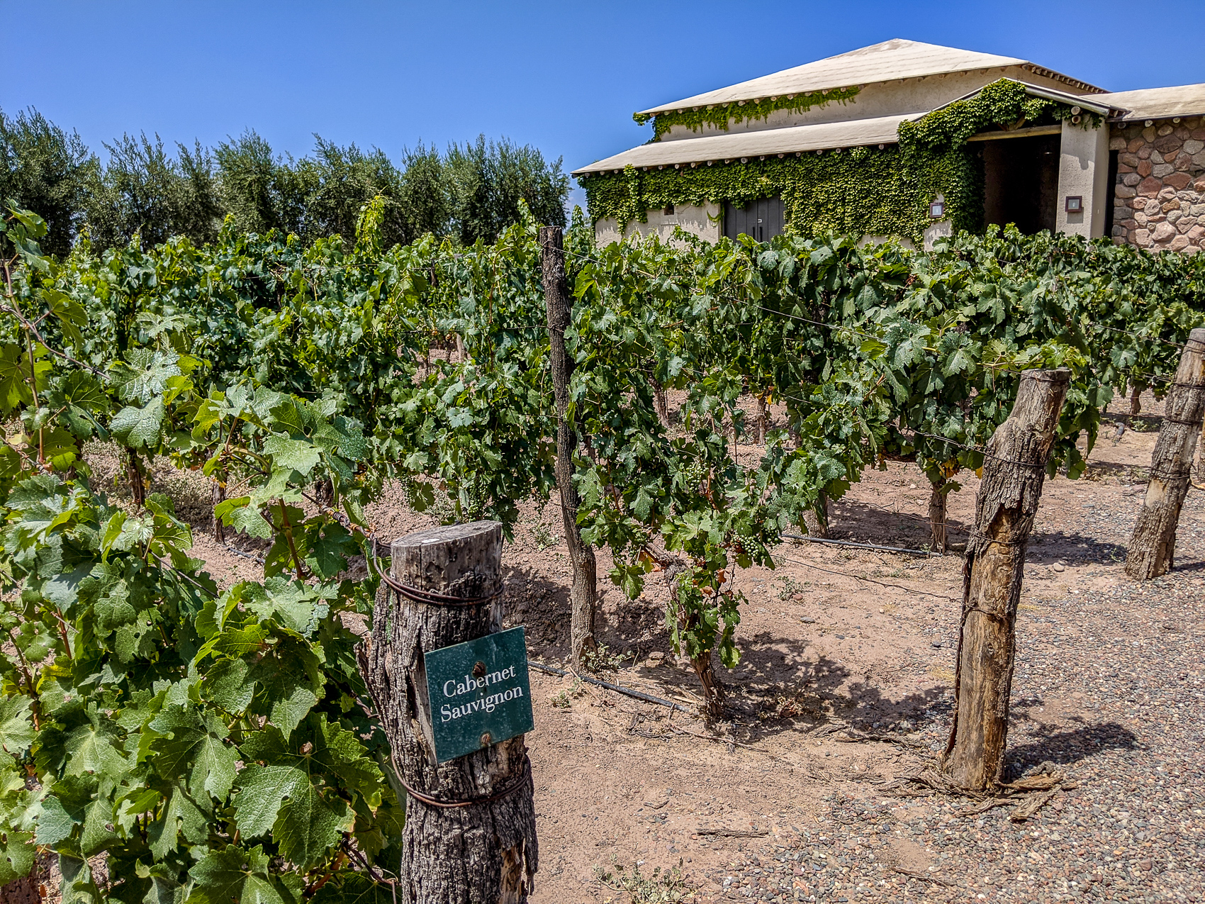 Exploring The Mendoza Wine Regions: 3 Day Itinerary - Aliciamarietravels