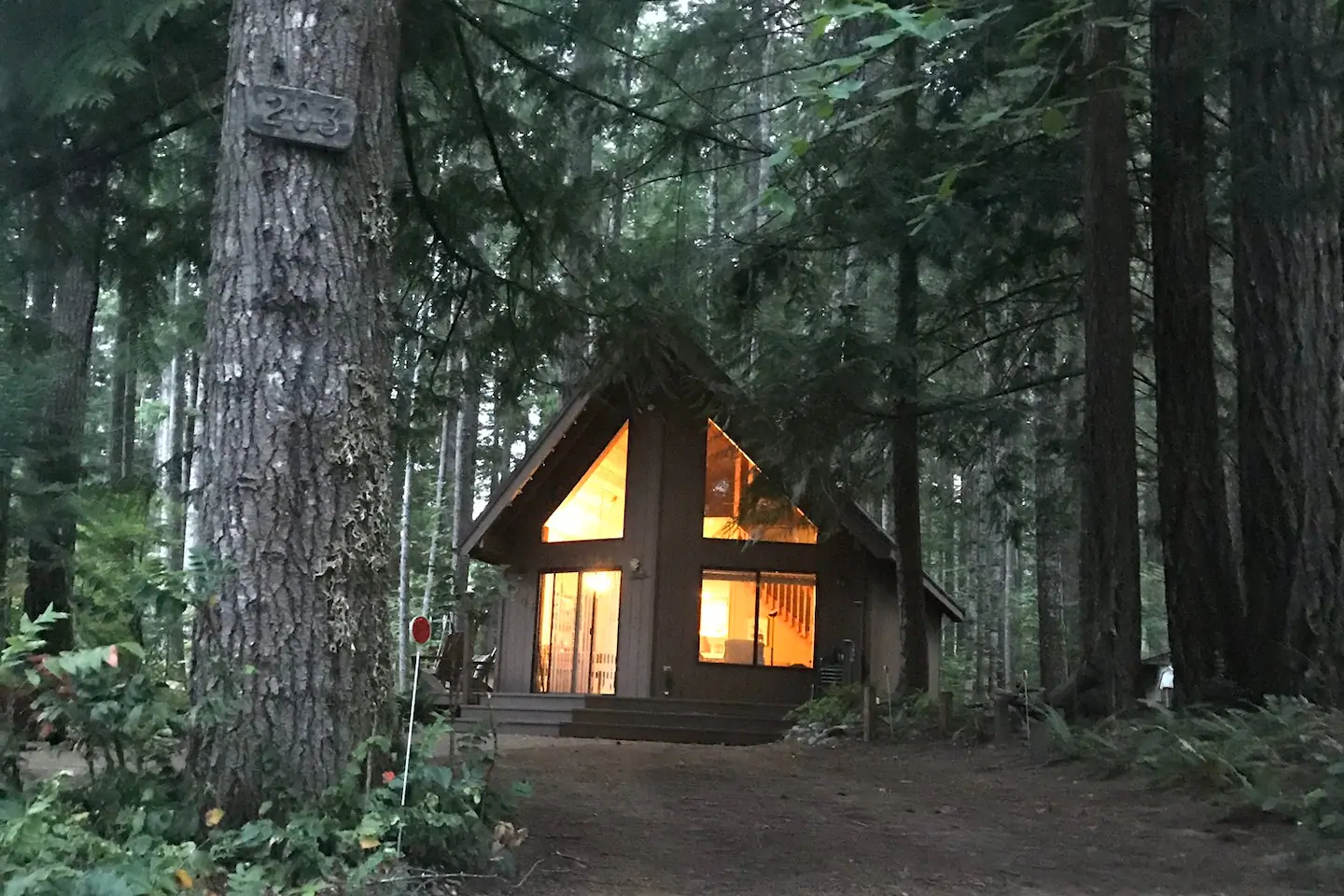 The Best AirBnBs And Rentals In Mt. Rainier National Park ...